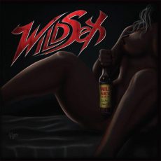 estudio de grabación - wildsex